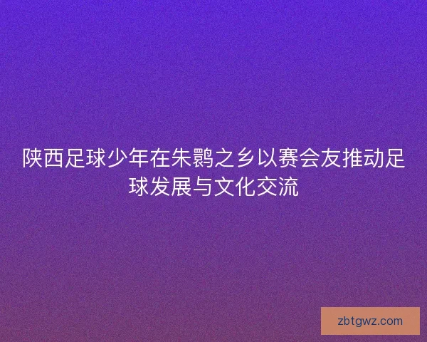 陕西足球少年在朱鹮之乡以赛会友推动足球发展与文化交流